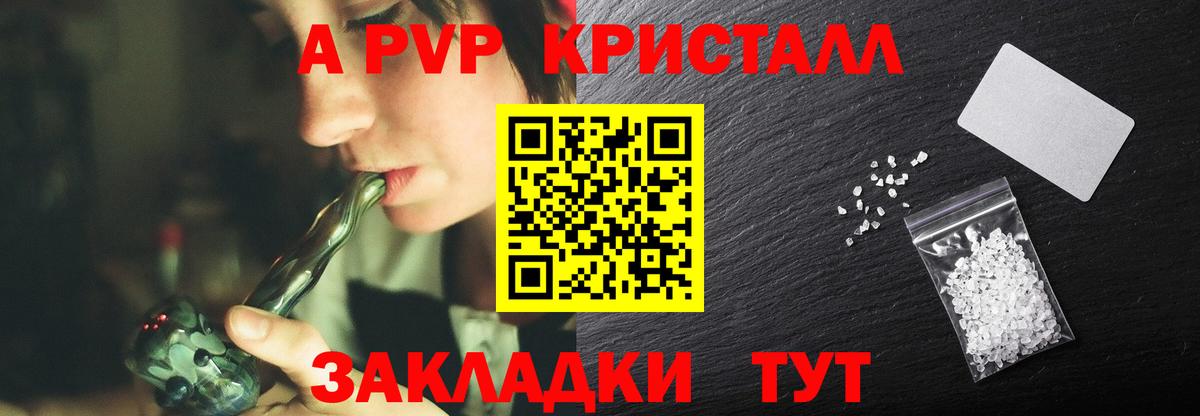 A PVP СК Воронеж