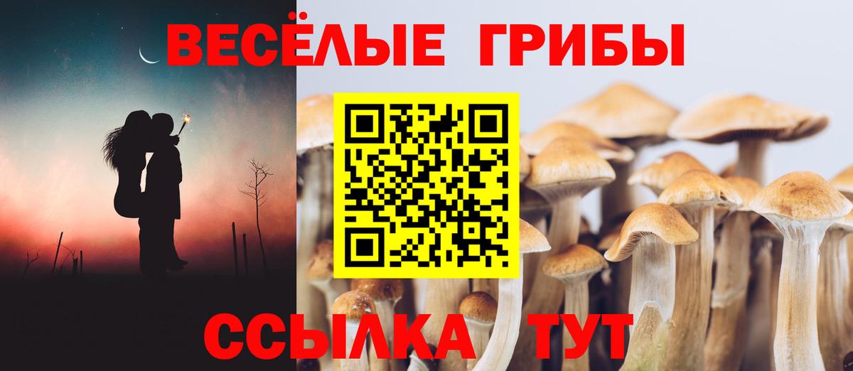 Воронеж  Псилоцибиновые грибы MAGIC MUSHROOMS  Вход с VPN  где продают   Псилоцибиновые грибы Psilocybine cubensis 